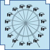 Ferrous Wheel Funny T-Shirt